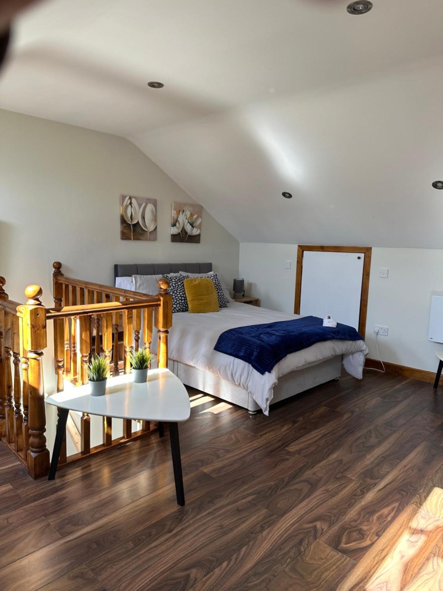 Bed and Breakfast Out In Dublin B N B Zewnętrze zdjęcie